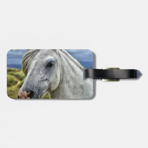 Etiqueta De Bagagem Belo Cavalo