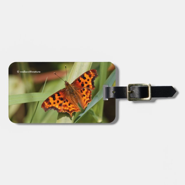 Etiqueta De Bagagem Belo Laranja Satyr Comma Butterfly (Frente Horizontal)