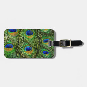 Etiqueta De Bagagem Belo Penas de Peacock