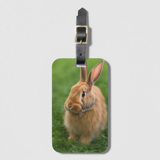 Etiqueta De Bagagem Belo Rabbit (Frente Vertical)