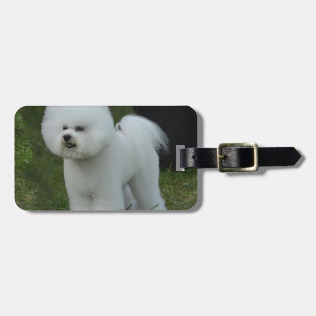 Etiqueta De Bagagem Bichon adorável (Frente Horizontal)