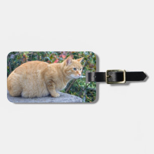 Etiqueta De Bagagem Big Red Tabby