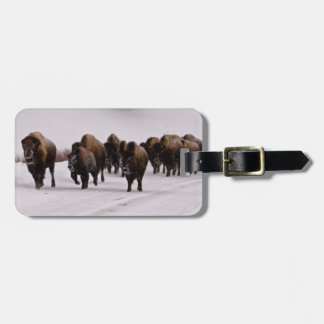 Etiqueta De Bagagem Bisonte no inverno