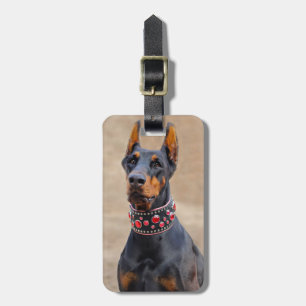 Etiqueta De Bagagem Black and Tan Doberman Pinscher (Pinscher preto e