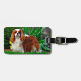 Etiqueta De Bagagem Blenheim Cavalier King Charles Spaniel Puppy Dog