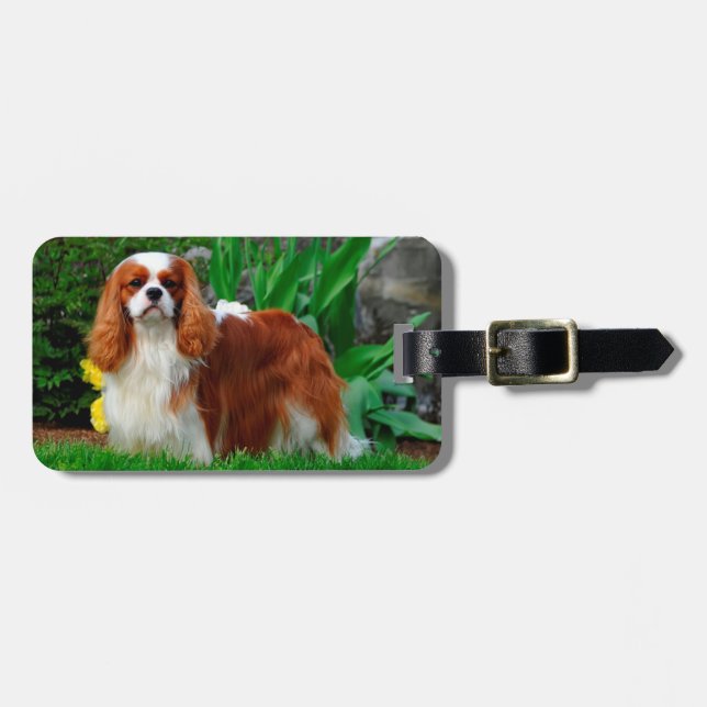 Etiqueta De Bagagem Blenheim Cavalier King Charles Spaniel Puppy Dog (Frente Horizontal)