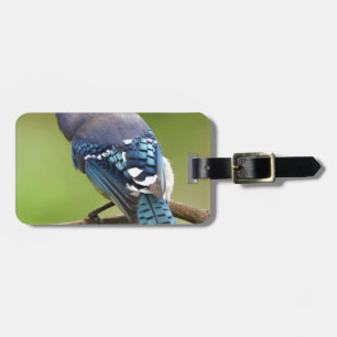 Etiqueta De Bagagem Blue Jay pensando em seu amigo pai da família