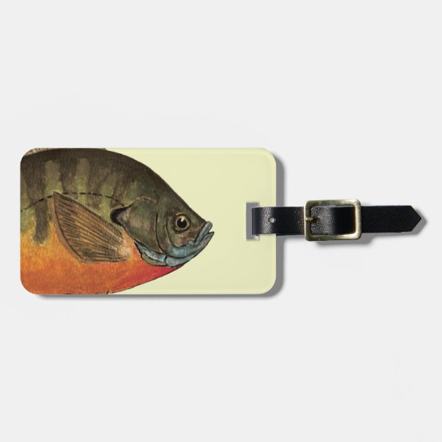 Etiqueta De Bagagem Bluegill Bream (Frente Horizontal)