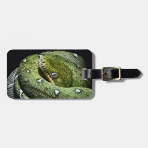 Etiqueta De Bagagem Boa esmeralda do cobra verde da árvore em Bolívi