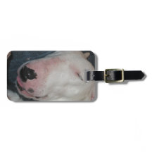 Boa Noite, Durma Bem, Cachorro Bobo
