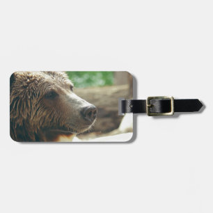 Etiqueta De Bagagem Bonita Natureza Adorável Urso Rosto Rosto Olhos