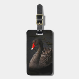 Etiqueta De Bagagem Bonito Swan Negro com Bright Beak Vermelho