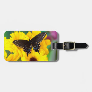 Etiqueta De Bagagem Borboleta-cauda-de-andorinha-preta