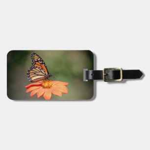 Etiqueta De Bagagem Borboleta Monarca numa flor de laranja