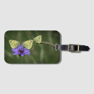 Etiqueta De Bagagem borboletas na primavera
