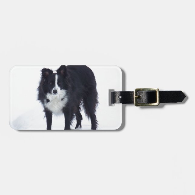 Etiqueta De Bagagem Border collie (Frente Horizontal)