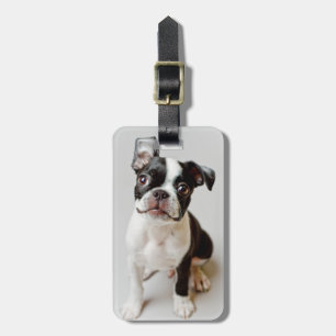 Etiqueta De Bagagem Boston Terrier