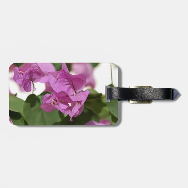 Etiqueta de Bagagem Bougainvillea (Traseira Horizontal)