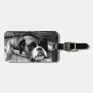 Etiqueta De Bagagem Boxer Dog On Windowsill Customable Details ltcn