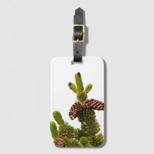 Etiqueta De Bagagem Bristlecone Pine