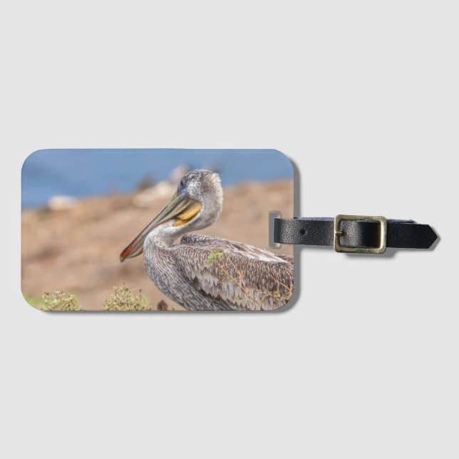 Etiqueta De Bagagem Brown Pelican (Frente Horizontal)