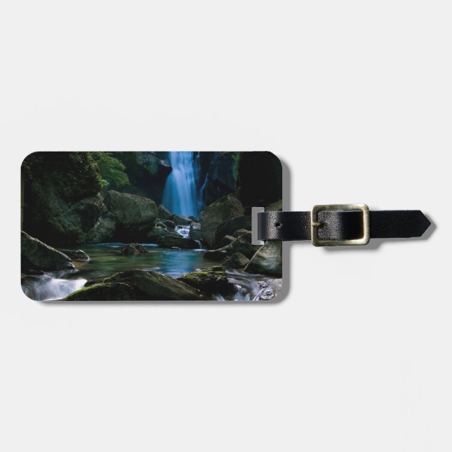 Etiqueta De Bagagem Cachoeira surpreendente (Frente Horizontal)