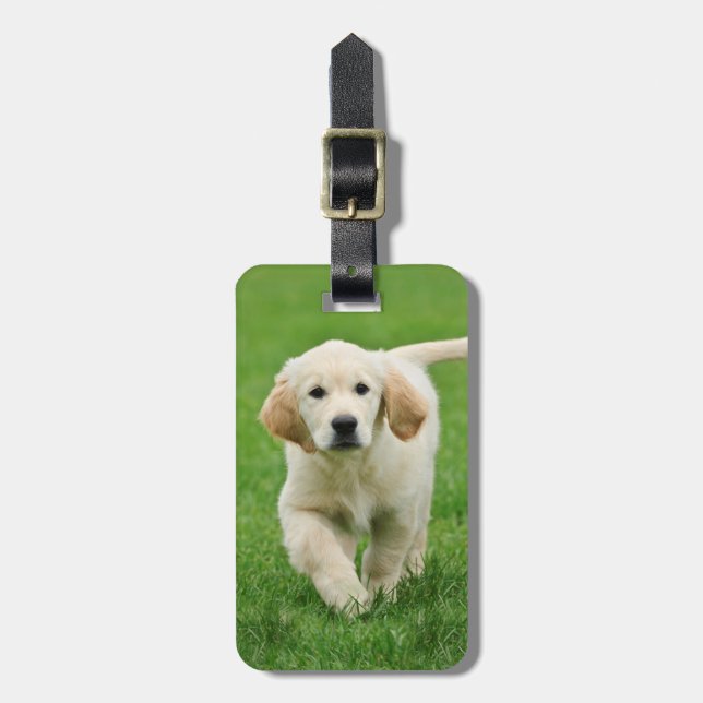 Etiqueta De Bagagem cachorrinho de recuperação de ouro (Frente Vertical)
