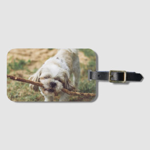 Etiqueta De Bagagem Cachorro, ao ar livre, Natureza