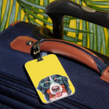 Cachorro de Montanha Bernese, Hipster Colorido