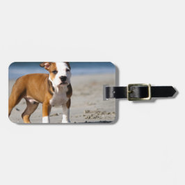 Etiqueta De Bagagem cachorro filhote bulldog inglês na praia