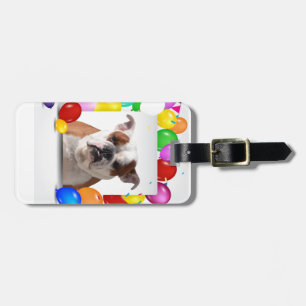 Etiqueta De Bagagem Cachorro Grande com Balões Colores Tema de Anivers