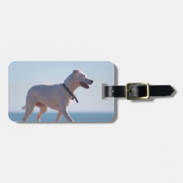Etiqueta De Bagagem Cachorro na praia