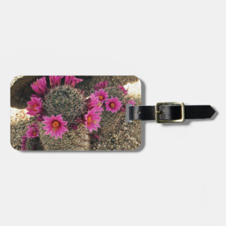Etiqueta De Bagagem Cacto cor-de-rosa na flor