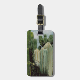Etiqueta De Bagagem Cacto da arizona