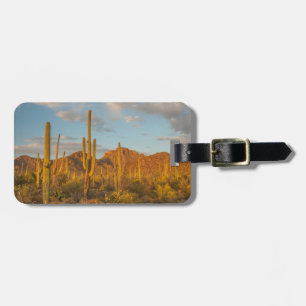 Etiqueta De Bagagem Cacto saguaro ao pôr do sol, Arizona