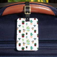 Cactos Suculentos Personalizados