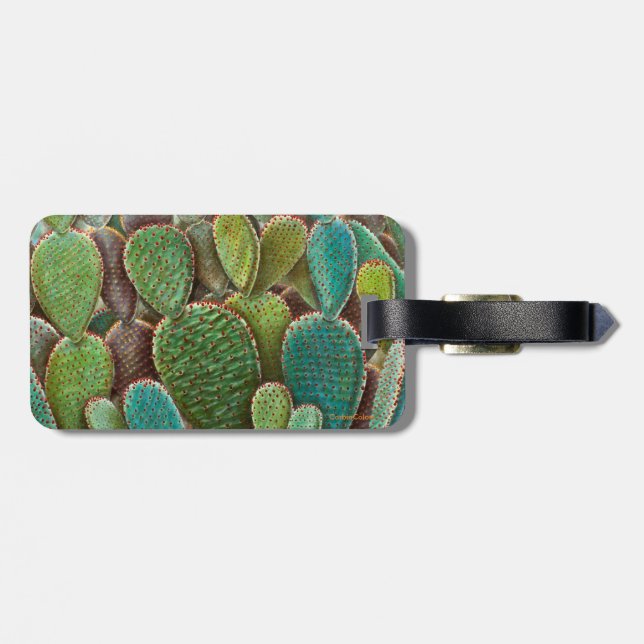 Etiqueta De Bagagem Cactus (Traseira Horizontal)