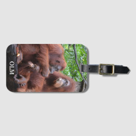 Etiqueta De Bagagem Café da manhã com o Zoológico Orangutans de Singap