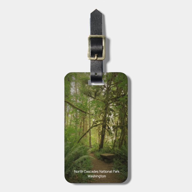 Etiqueta De Bagagem Calm Green Forest Trail (Frente Vertical)