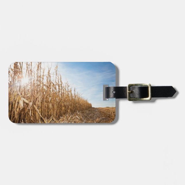 Etiqueta De Bagagem Campo de milho em parte colhido (Frente Horizontal)