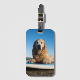 Etiqueta De Bagagem Cão do golden retriever que coloca em um conselho