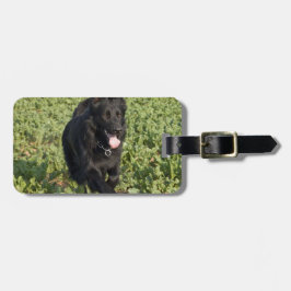 Etiqueta De Bagagem Cão Preto