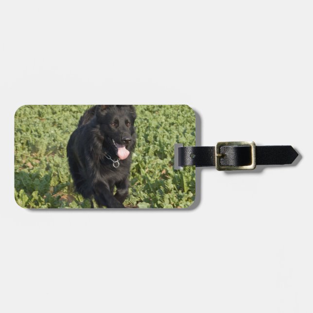 Etiqueta De Bagagem Cão Preto (Frente Horizontal)