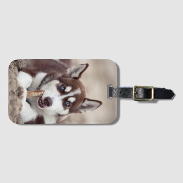 Etiqueta De Bagagem Capoeira Siberiana na praia (Frente Horizontal)