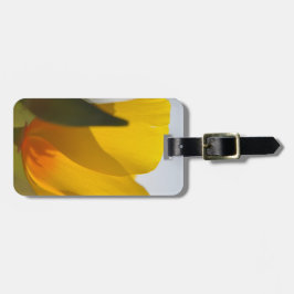 Etiqueta De Bagagem Cápsula cheia de luz