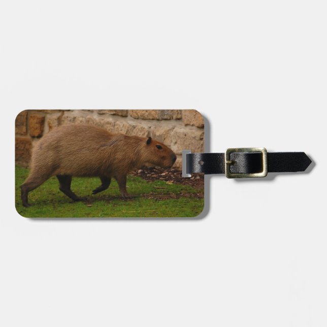 Etiqueta De Bagagem capybara (Frente Horizontal)