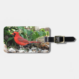 Etiqueta De Bagagem Cardinal