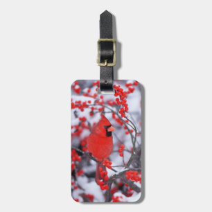 Etiqueta De Bagagem Cardinal-vermelho macho, Inverno, IL