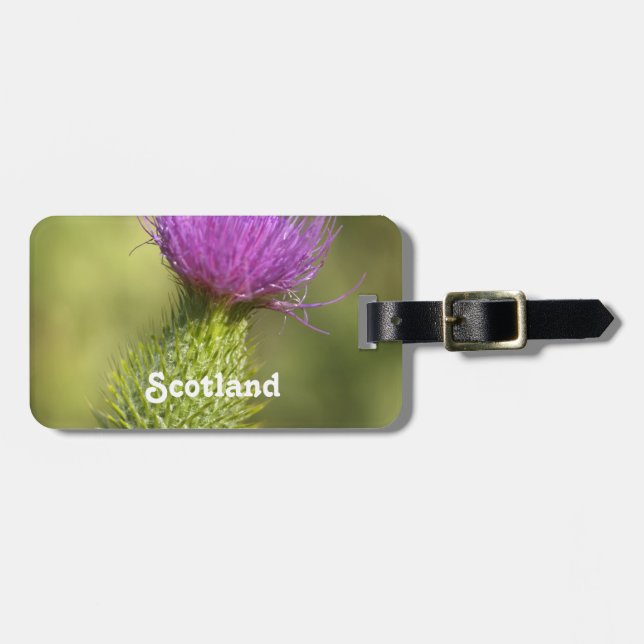 Etiqueta De Bagagem Cardo de Scotland (Frente Horizontal)