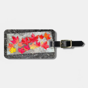 Etiqueta De Bagagem Carteira de Cores de Queda Folha Folha de Graças